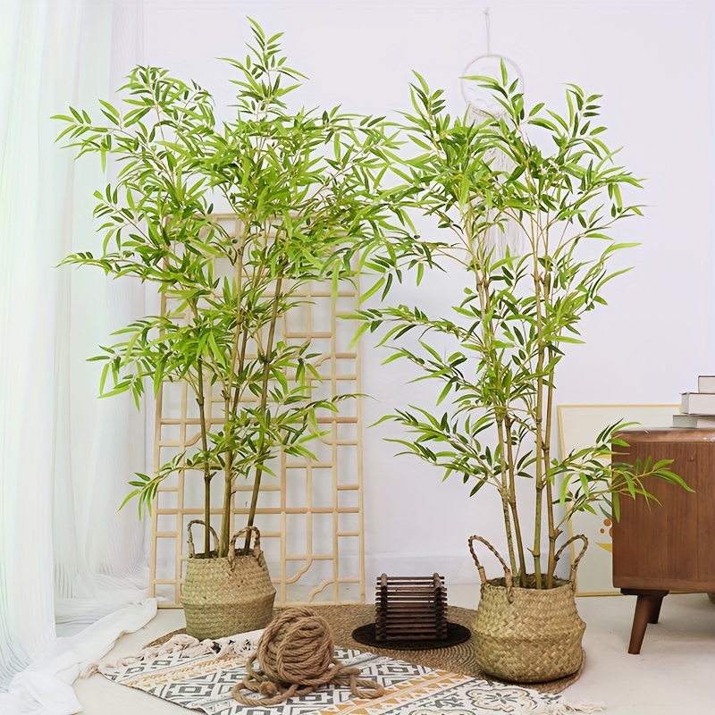 Glückliche Bambuspflanze - Kostenloser Versand Für Neue Benutzer