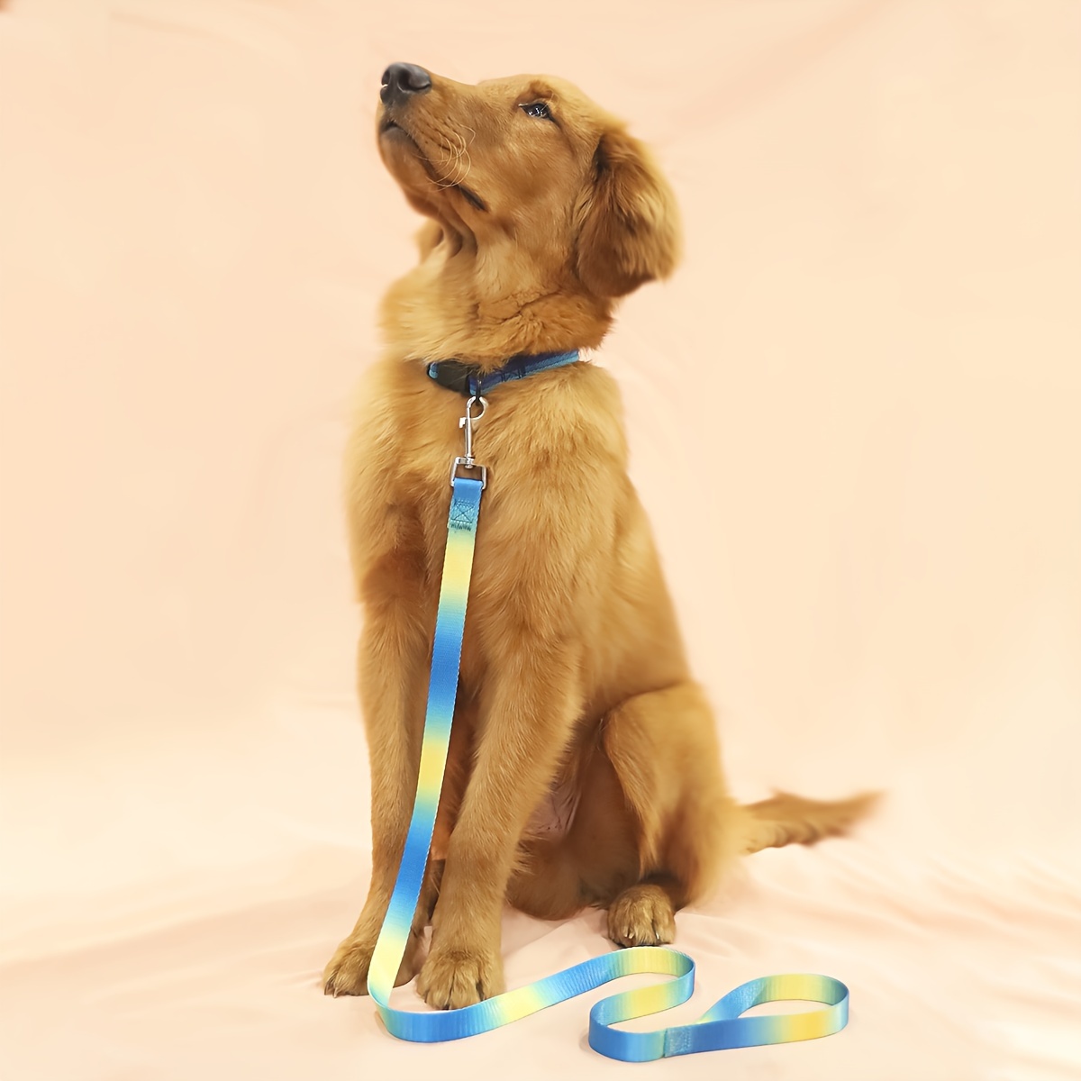 Colorful Dog Leash, Durable Polyester for Indoor & Outdoor Use