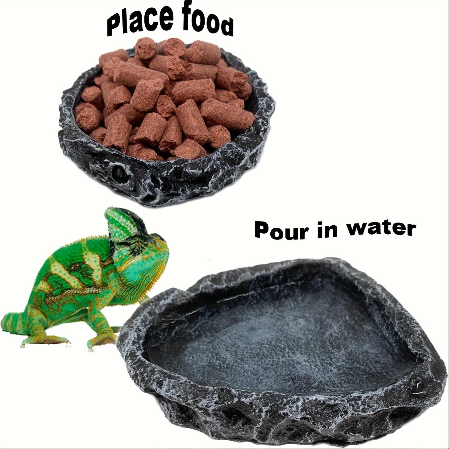 Water on sale dish reptile