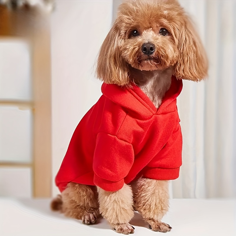 Dog clothes clearance australia