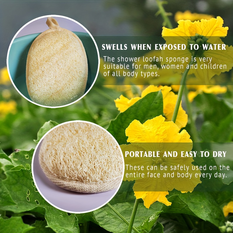 2/3/4pcs Natural Loofah Sponge Exfoliating Body Scrubber, Made With Biodegradable Shower Luffa Sponge, Loofah For Women And Men, Beige