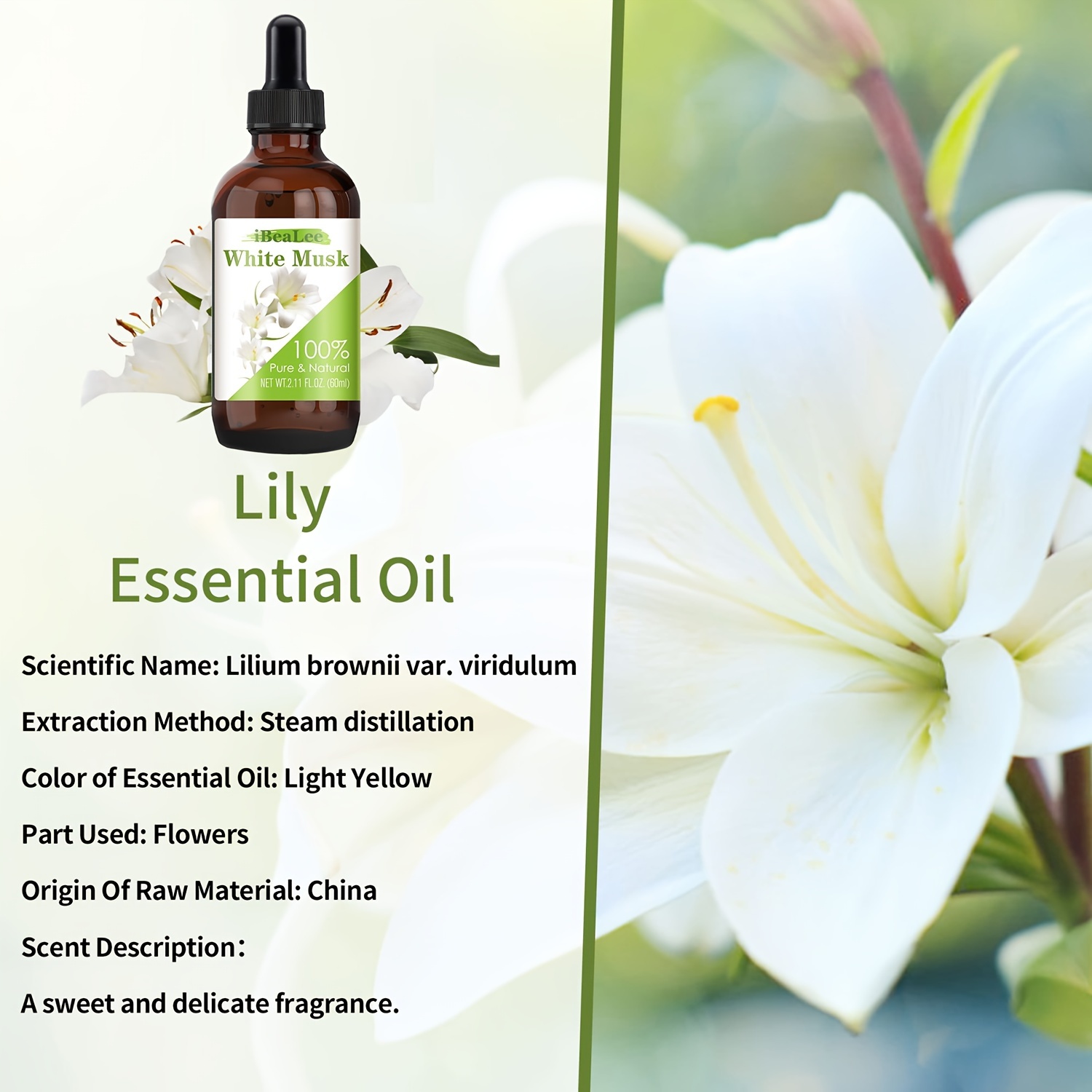 White Musk Essential Oil Massage Oil Plant Extract 100% Pure - Temu