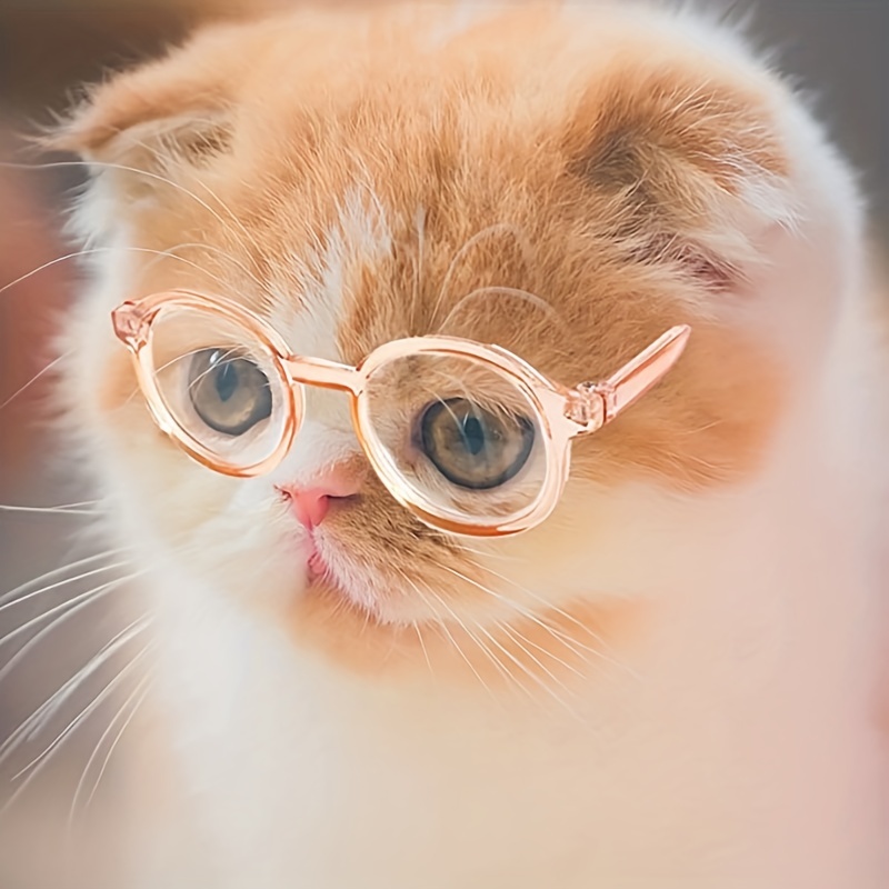 Pet Glasses Persönlichkeit Lustiges Halloween-zubehör Transparente  Katzenbrille Kunststoff - Haustierbedarf - Temu Germany