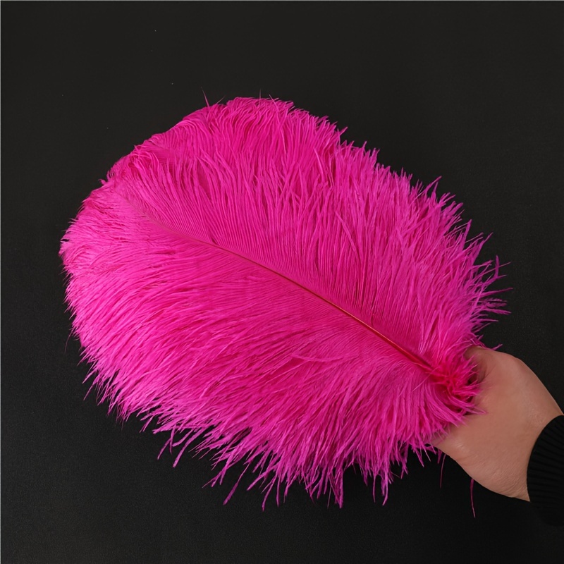 Faux Feather Stage Performance Accessories Feather Diy Hat Fascinator Faux  Ostrich Feather - Temu United Arab Emirates