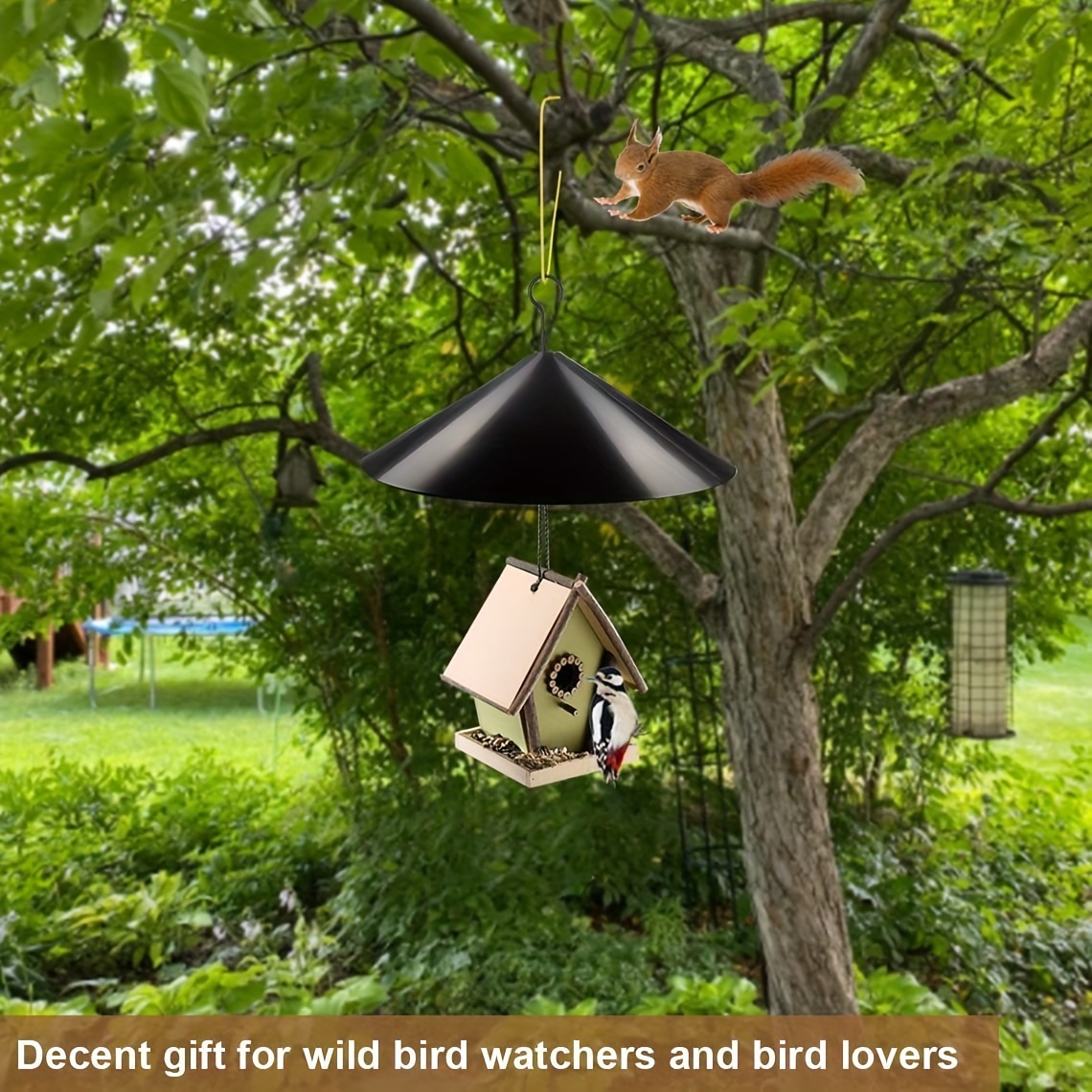 Mangeoire à oiseaux résistante aux écureuils, capacité de 2,3 kg, mangeoires  à oiseaux robustes pour suspendre à l'extérieur, mangeoire pour oiseaux  sauvages, cardinal, colibri : : Terrasse et Jardin