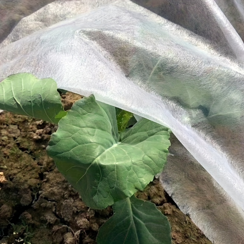 Couverture d'hiver pour plantes, tissu Non tissé antigel, couverture de  Protection contre le gel, tissu de Protection pour semis, fournitures  chaudes d'extérieur