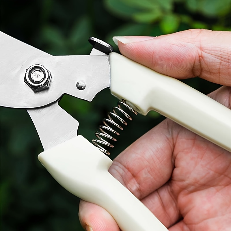 Flower shears - Small garden shears for flowers & rice