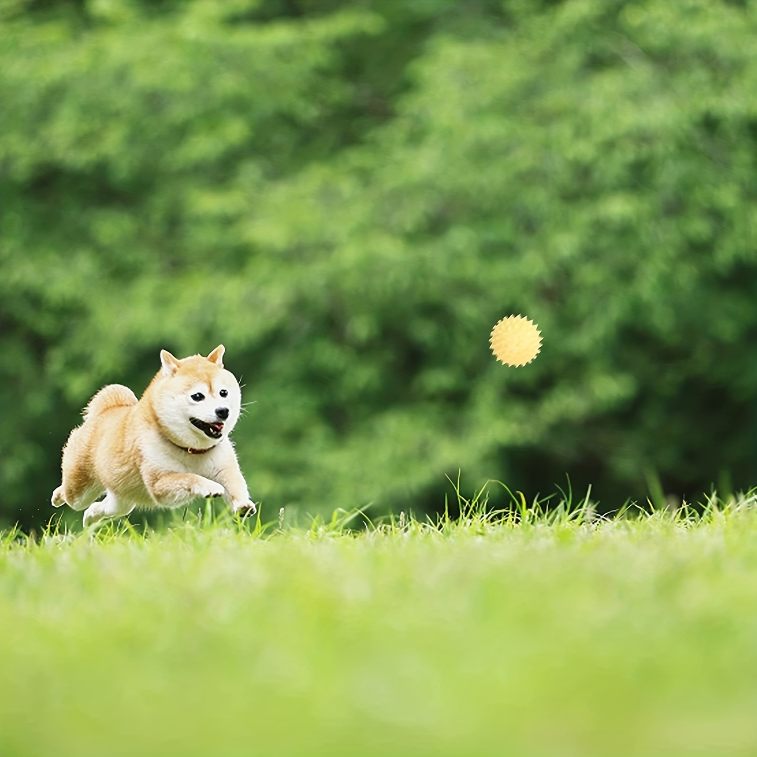 Interactive Pet Toy For Anxiety Relief - Cute Dog Chewing Teaser