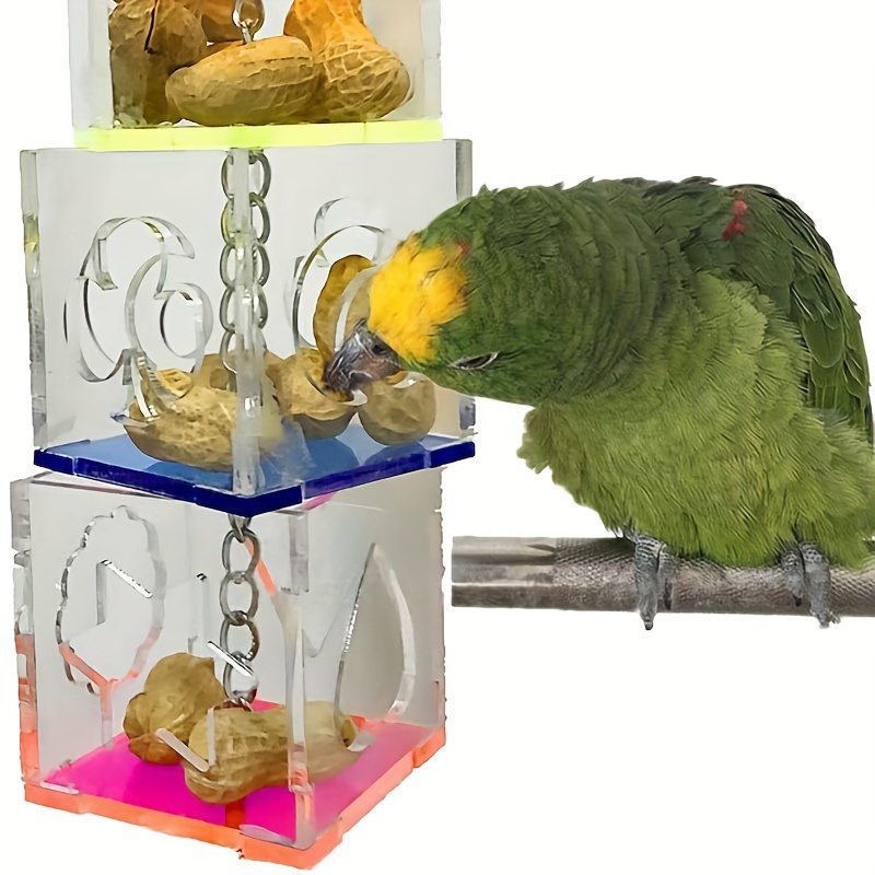 Bird Forager Acrylic Parrot Puzzle Training Bird Toy Bird Temu