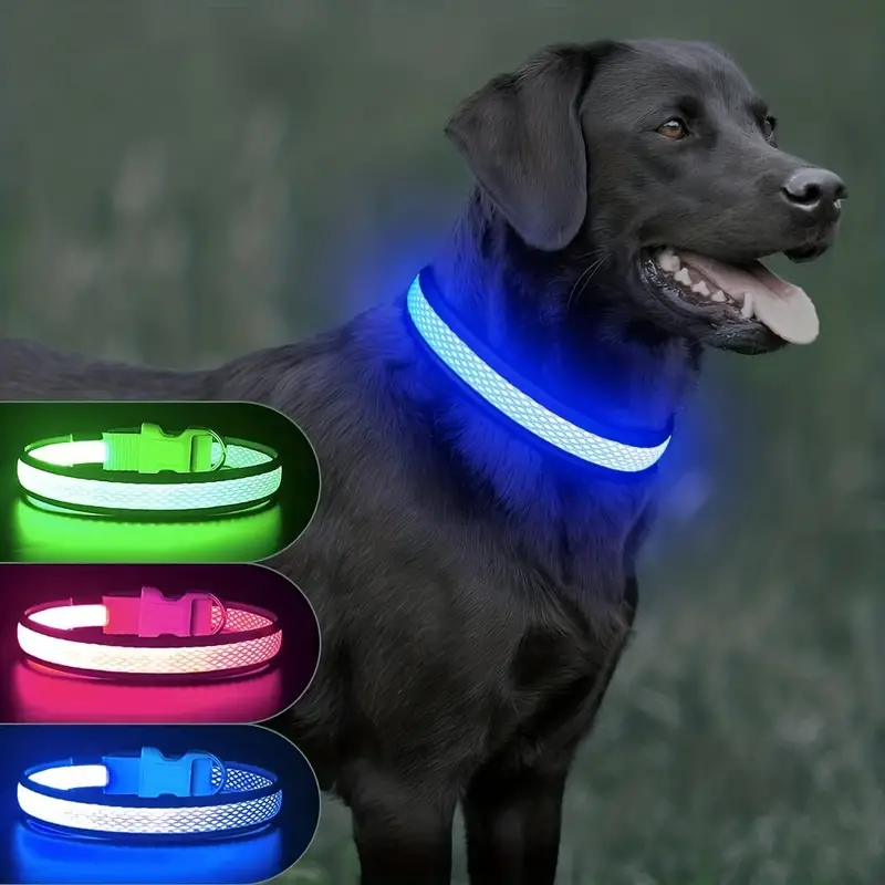 Collare Per Cani A LED Impermeabile - Collare Luminoso Per Cani  Ricaricabile, Mantieni Il Tuo Animale Domestico