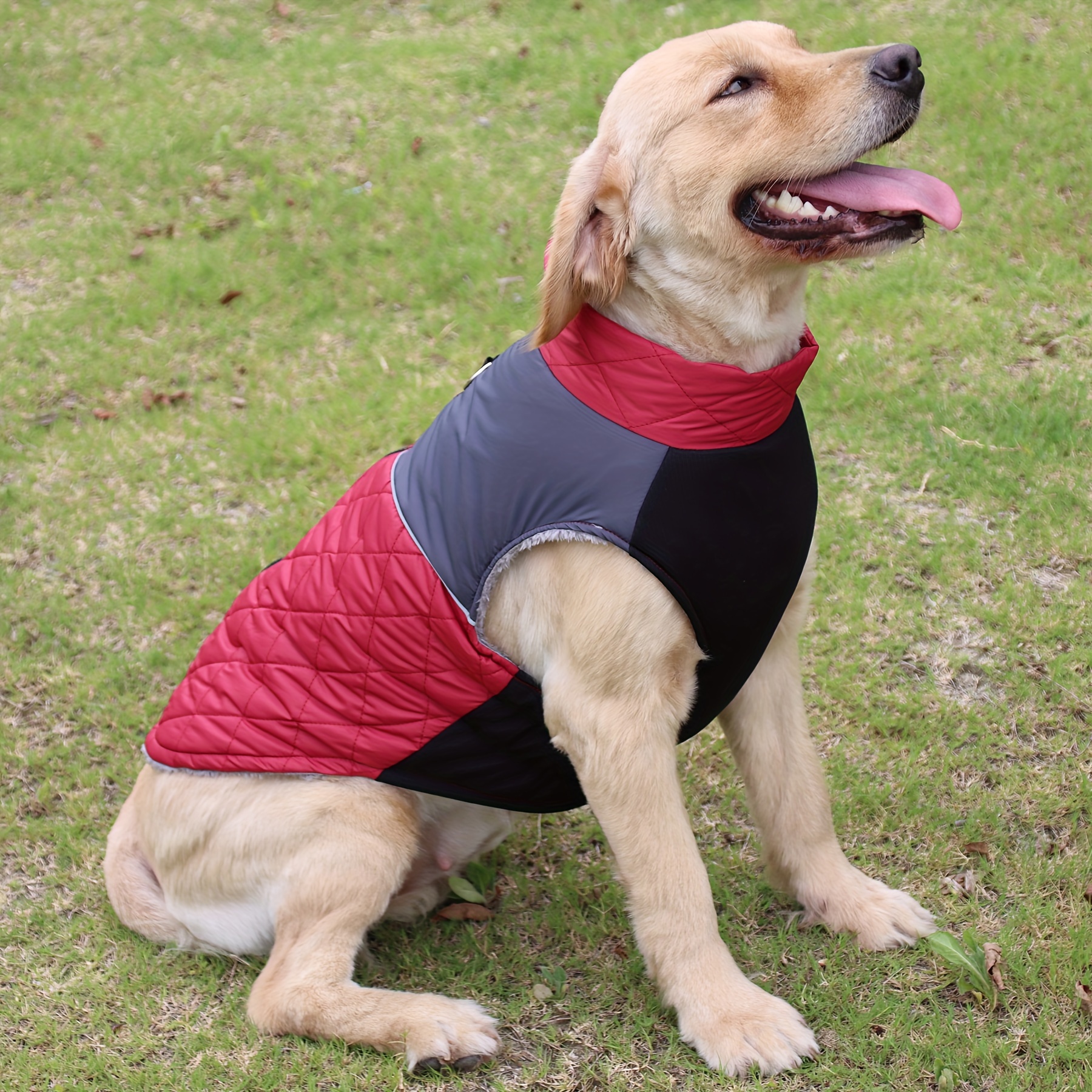 Small on sale dog jackets