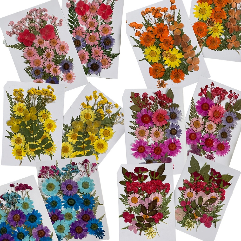 Cruzix 102 PCS Dried Flowers for Resin Molds, Natural Dried Pressed Flower  Leaves Bulk for Jewelry