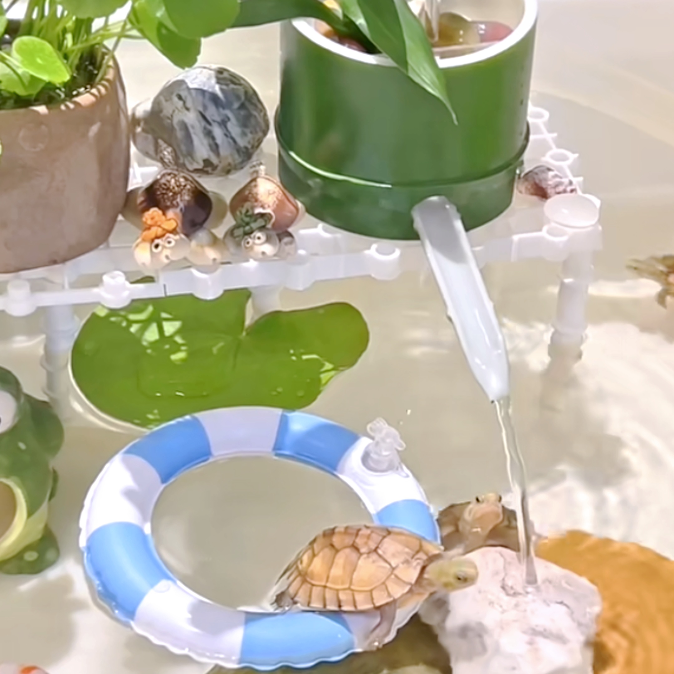 Turtle Aquarium Accessories - Temu Canada