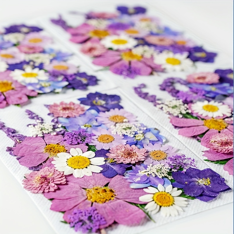 Dried Flower Diy Handmade Material Bag Pressed Mixed Natural - Temu