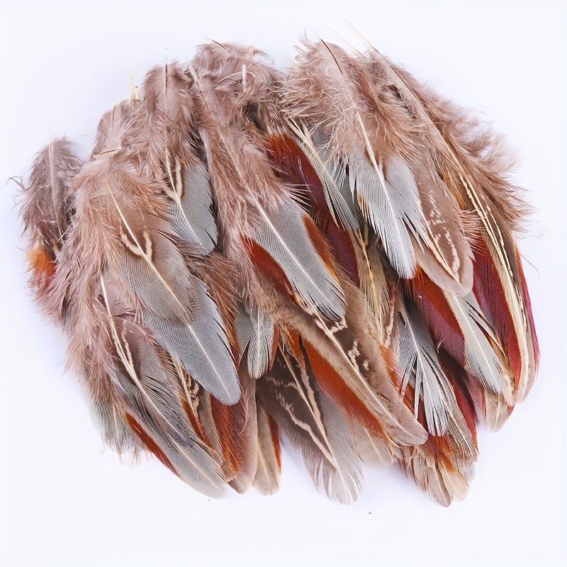 Natural Turkey Spotted Feathers Pheasant Feathers For Crafts - Temu