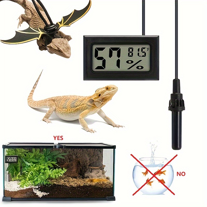 Thermometer lizard hotsell