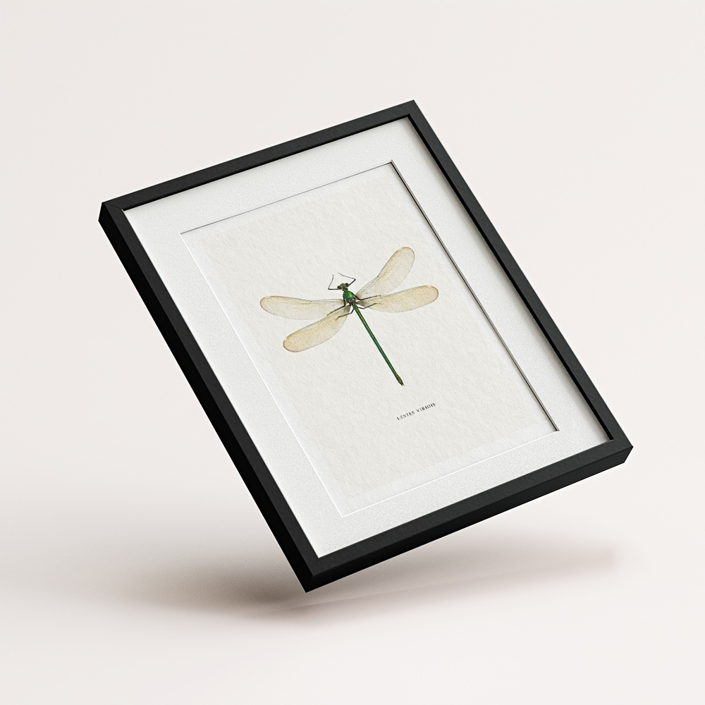 6pcs Dragonfly Specimen Art Posters for Home Decor - A5 A4 A3 A2 Sizes