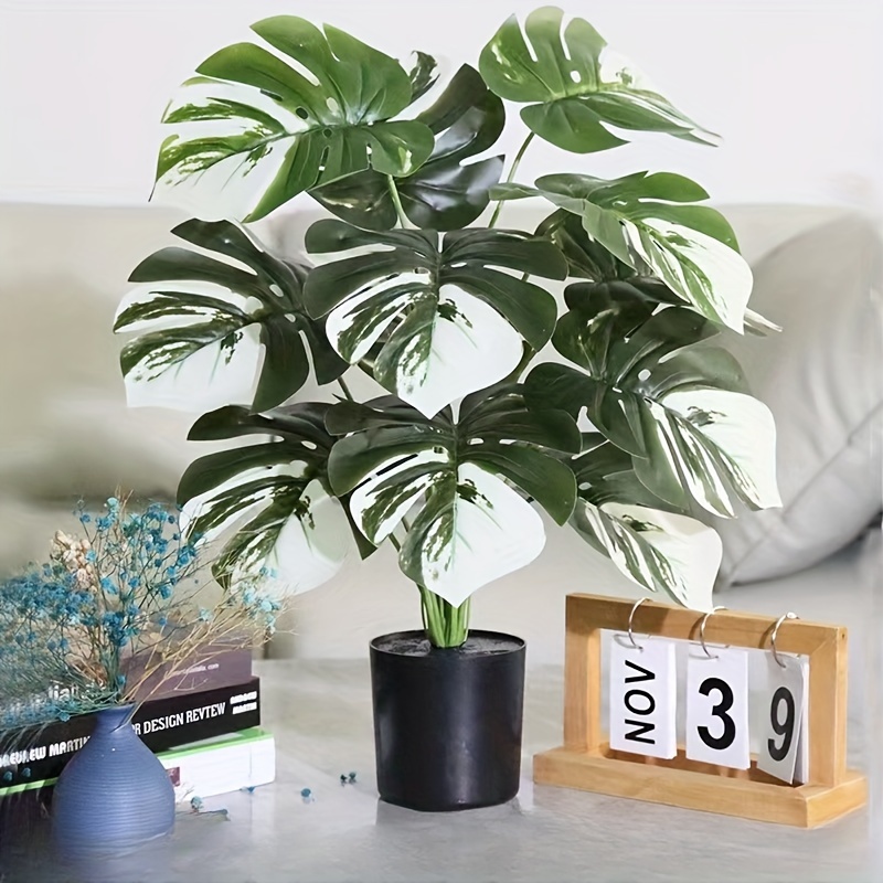 Encuentre plantas filodendro realista, perfecto para la decoración -  Alibaba.com