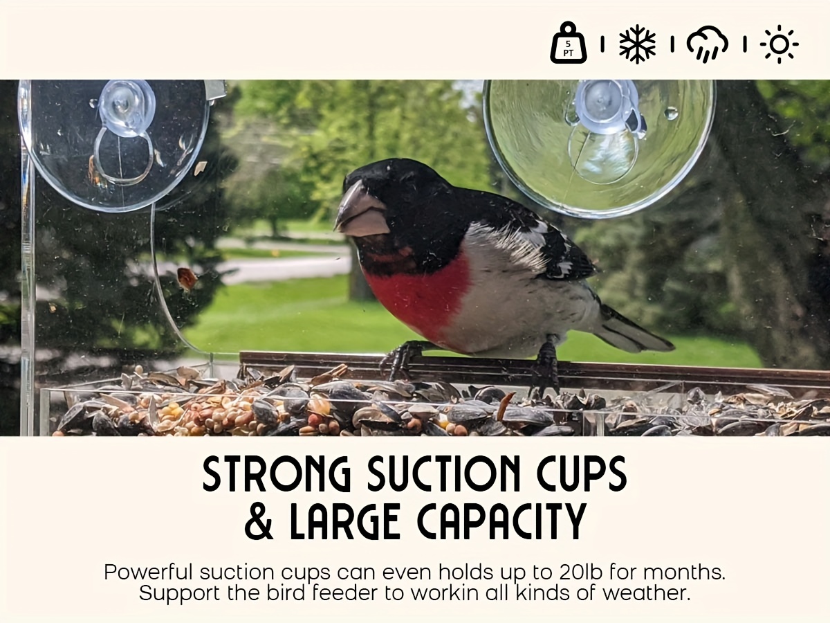 Window Bird Feeders with Strong Suction Cups, Outdoor Large Bird