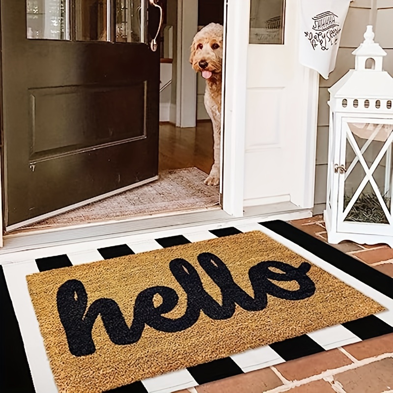 GlowSol 2'x3' Striped Small Area Rug Black and White Outdoor Indoor Doormat  Farmhouse Cotton Welcome Mat for Front Porch Living Room Kitchen Laundry  Room 