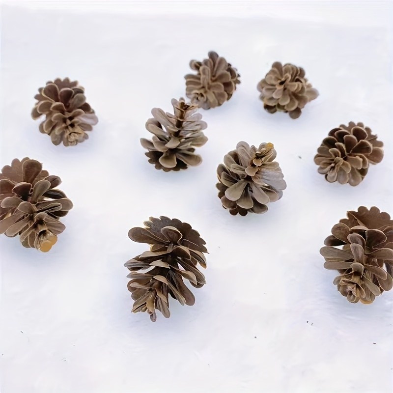 Natural Mini Pine Cone Artifcial Fruit Pinecone DIY Home Christmas Party  Decors