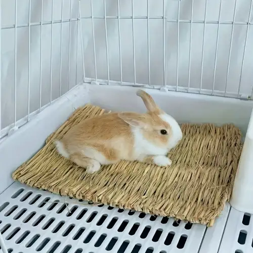 Camas Para Conejos - Temu