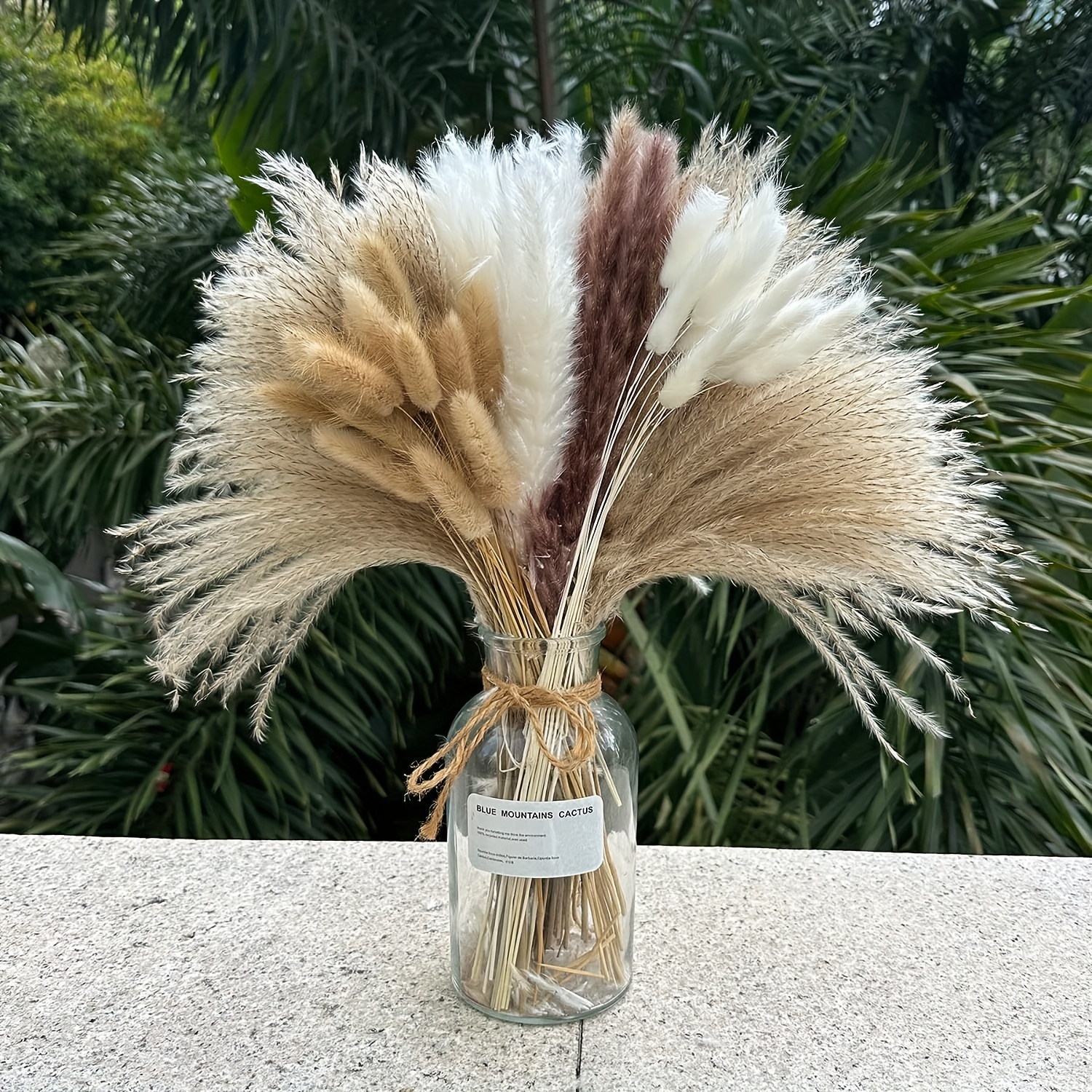 Natural Dried Flower Reed Pampas Grass Boho Home Decorations Wedding  Accessories