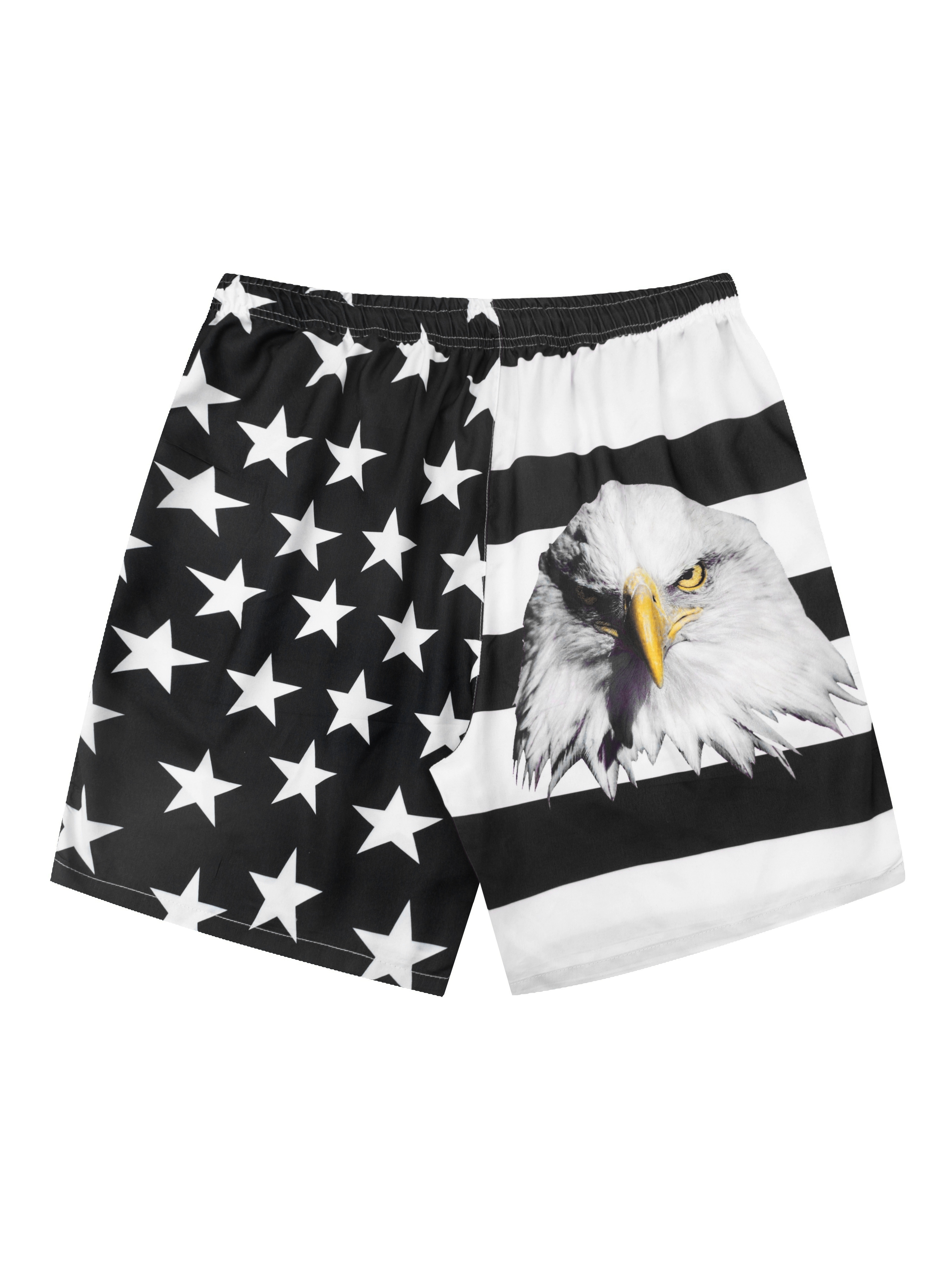 Patriotic Eagle with Flag Men's Underwear Boxer Briefs