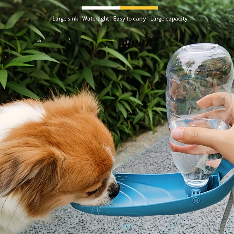 Portable Foldable Pet Water Bowl For Small Medium And Large - Temu