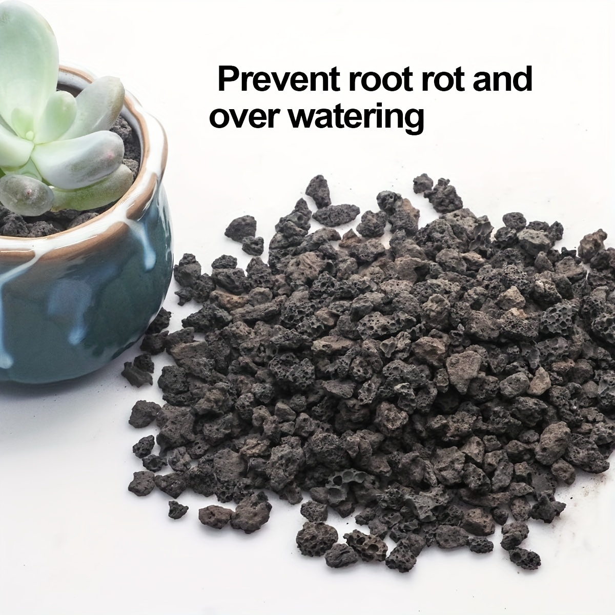 Porous Black Horticultural Lava Rocks, for terrarium drainage