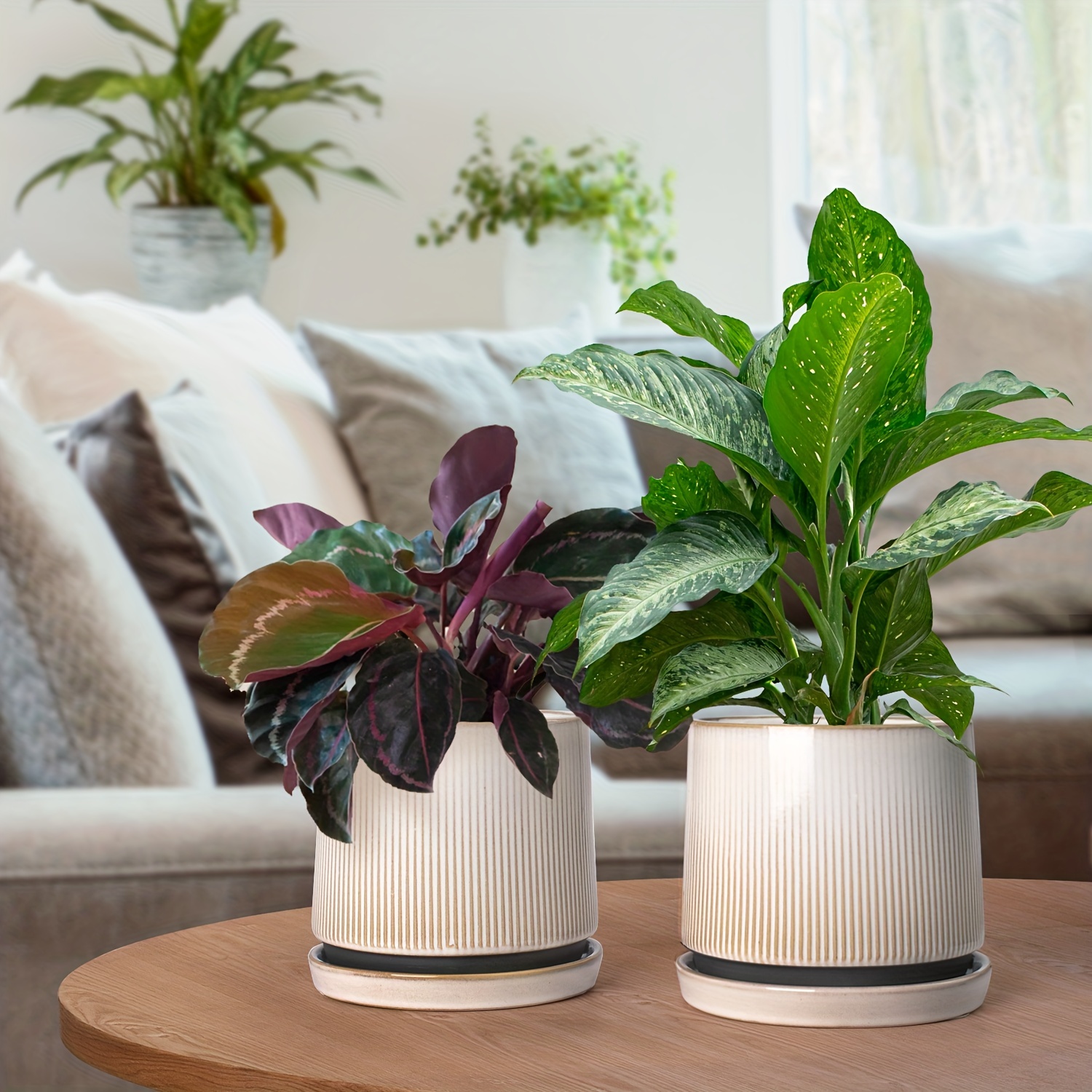 Plant Pots Planters For Indoor Plants With Drainage Holes - Temu