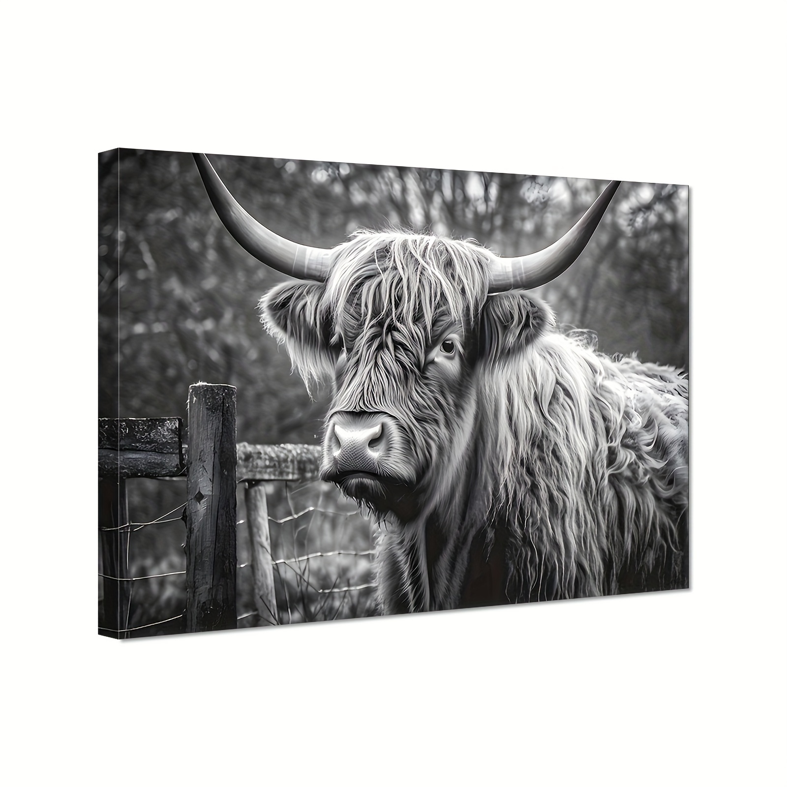 Highland Cow Canvas Wall Art Animal Print Pictures Highland Fluffy Cattle  Photo Framed Farmhouse Painting 20x20 inches for Home Decor…