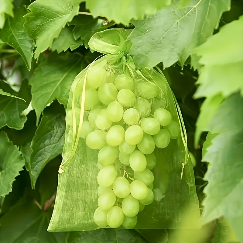 100pcs breathable fruit protection bags lightweight green mesh netting with drawstring closure transparent for grapes strawberries tomatoes   citrus trees garden pest control planting compatible with harvesting ideal for home commercial   fruit bags for fruit protection plant cover reusable covers tearresistant material plant covers   owners
