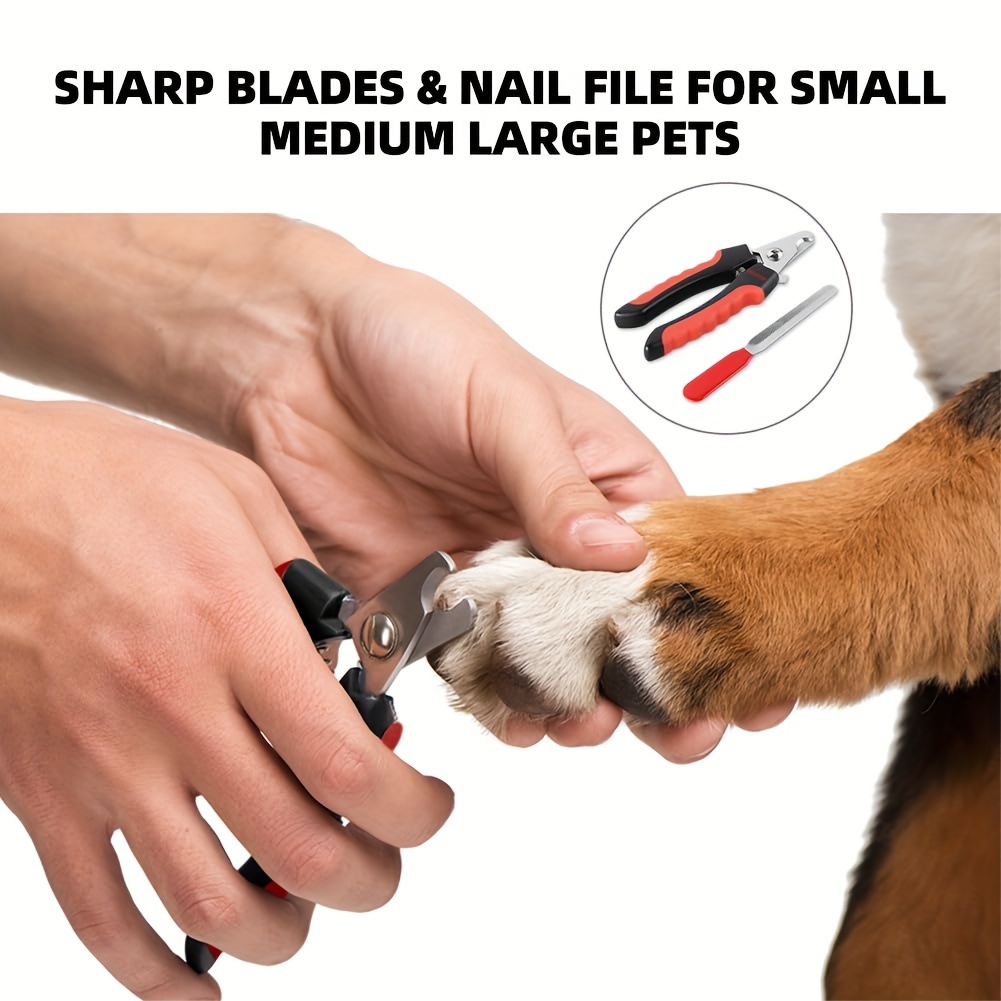 Coupe ongle pour chien