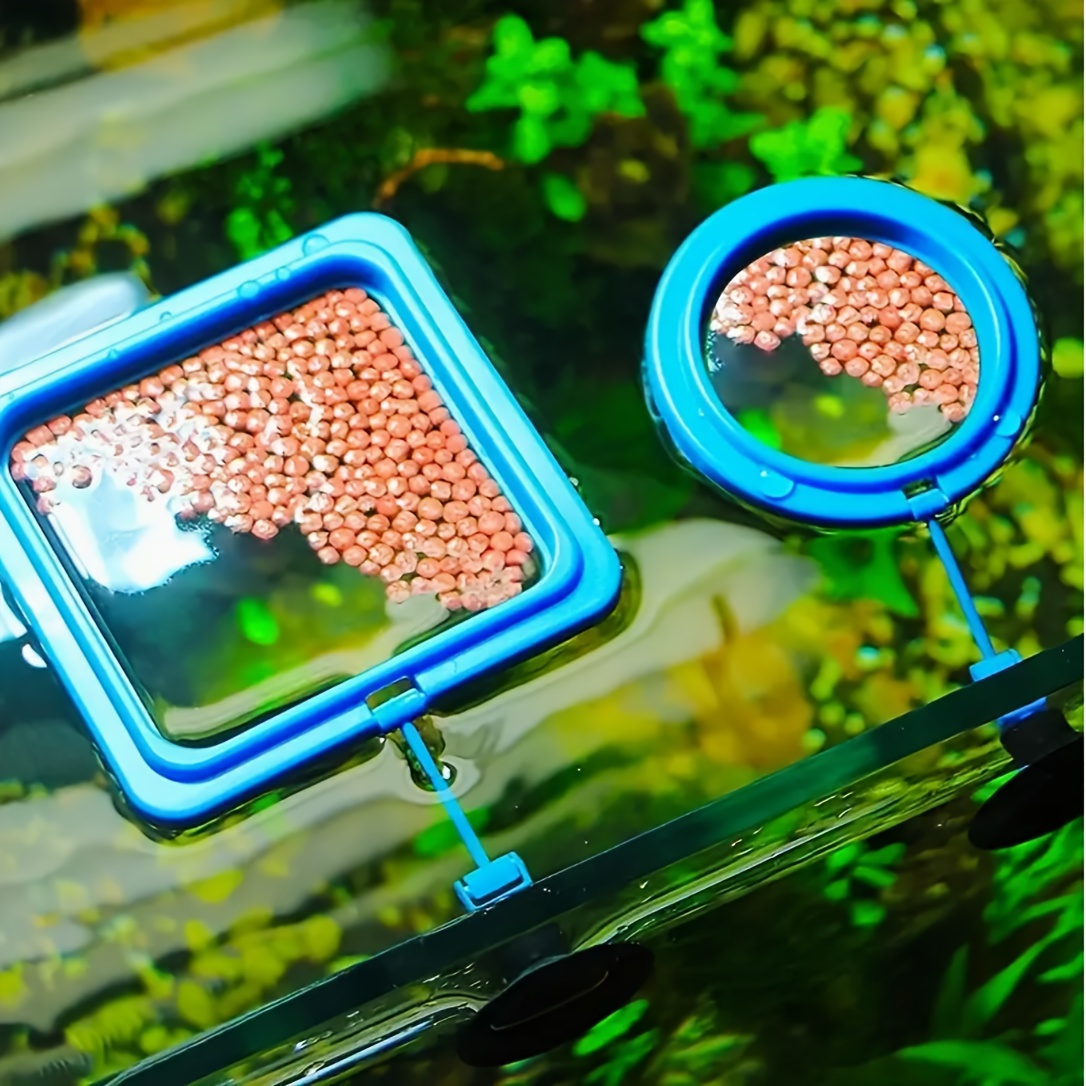 Aquarium Clear Fish Feeder Suction Cup Transparent Acrylic - Temu