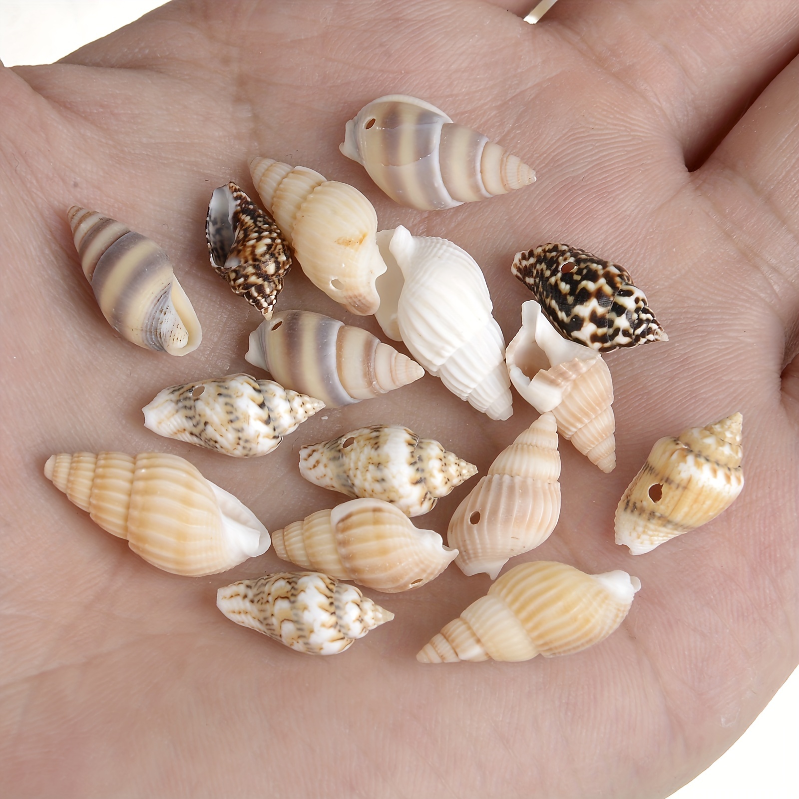 50pcs Natural Sea Shell Beads Jewelry Making Shells Beautiful Boho Real  Shell