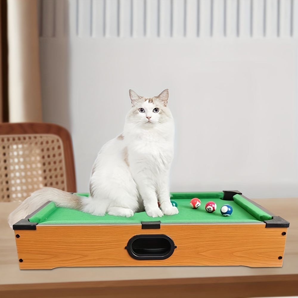 Universal - Jouet de chat interactif amusant avec un pistolet à bâton de  chat pour chaton chiot chiot produit pour animaux de compagnie lance un  pistolet