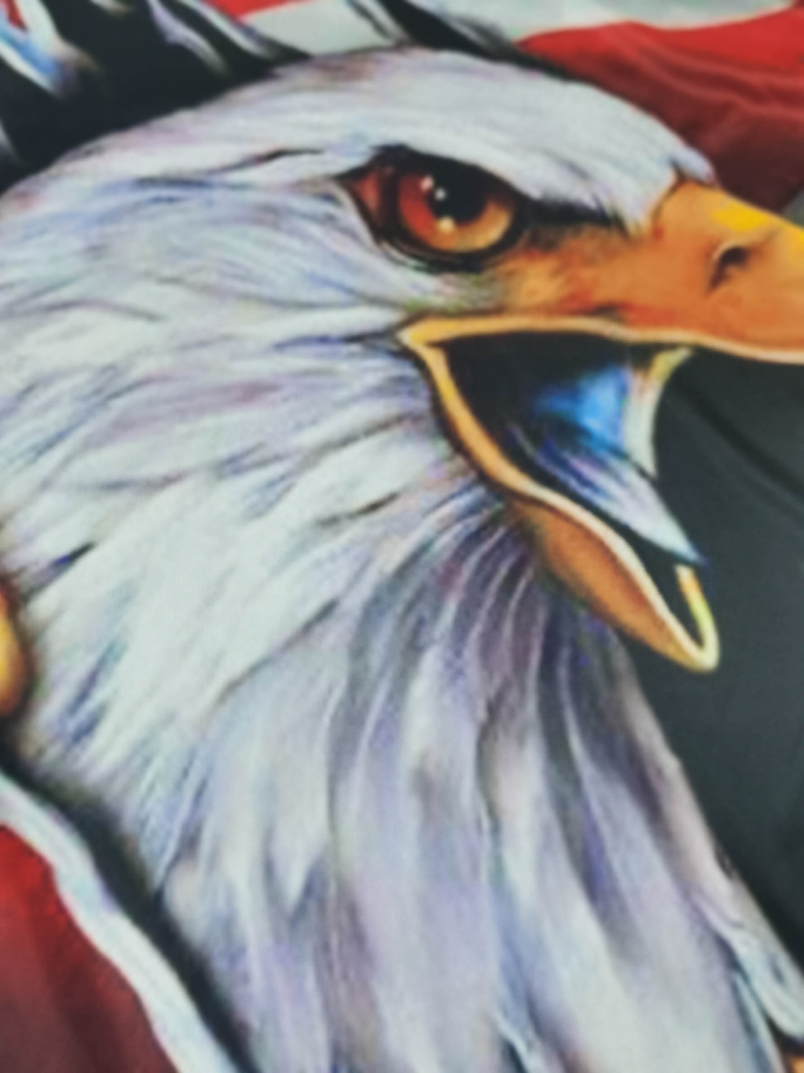 : Portrait of A Bald Eagle 3D Printed Womens T Shirts Round Neck  Tees Tops Short Sleeve Blouse : Sports & Outdoors