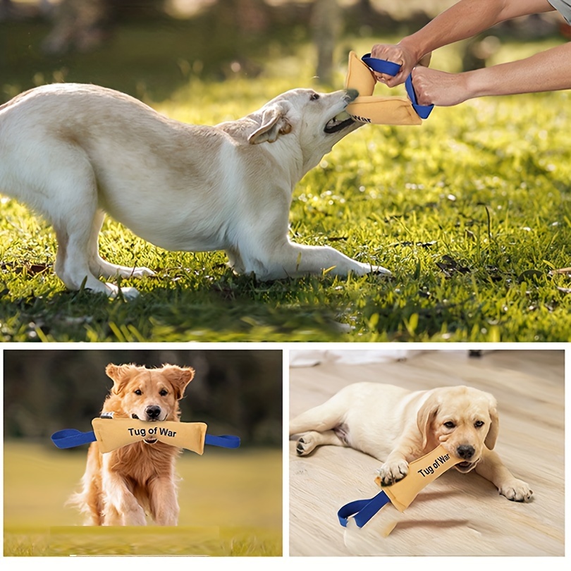 Dog Toy, Super Elastic And Chewy Toy, Suitable For Outdoor