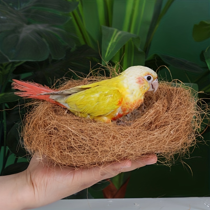 Nid d'Oiseau en Paille Naturelle Respirante, Garde au Chaud