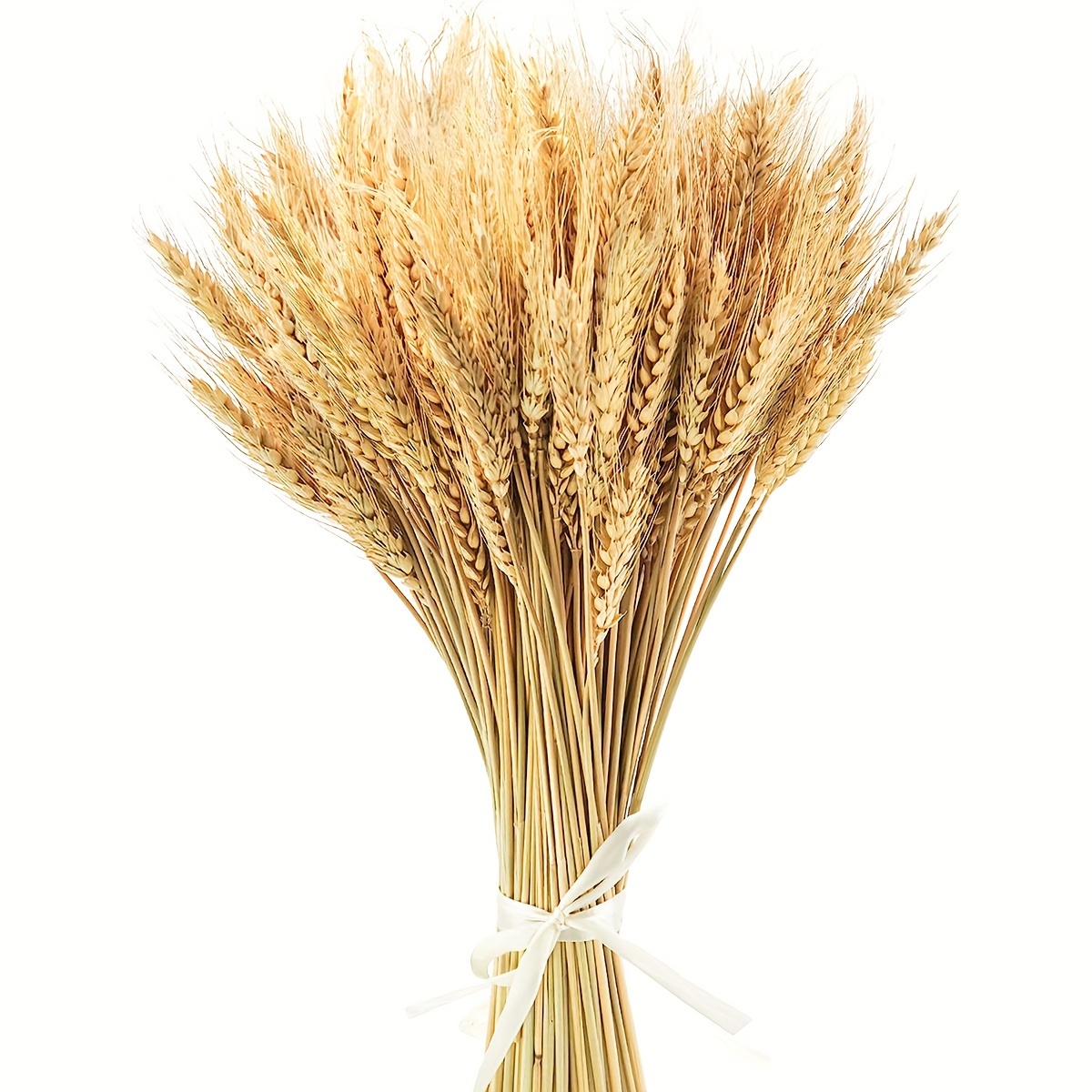 

17.7 Inches Dried Wheat Stalks, 100pcs Dried Flowers Wheat For Home Kitchen Wedding Party Table Centerpiece Harvest Wreath Farmhouse Diy Decoration