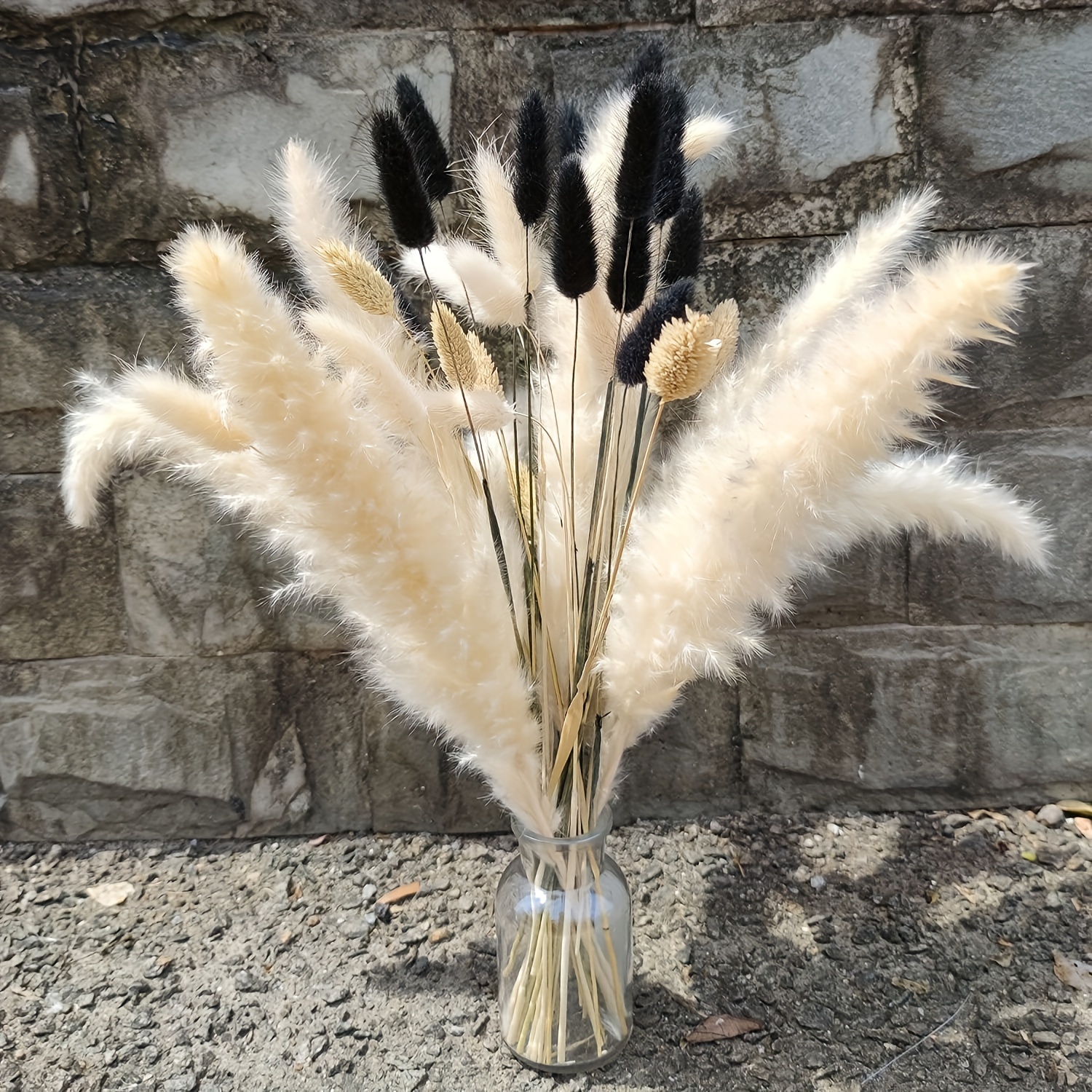 

40pcs Pampas Grass Stems Black White Bunny Tail Dried Flowers Boho Style Bouquet Tall Reed Grass Plume Wedding, Valentine's Day Easter Gift