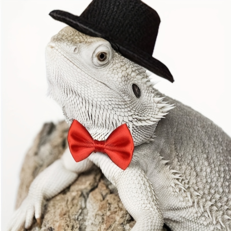 2Pcs Small Animals Hats and Bow Ties Set Pet Accessories