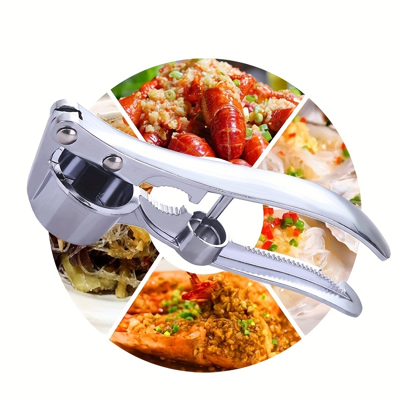 900ml Food Garlic Press Crusher, Manual Garlic Press Food Chopper, Mul –  Yahan Sab Behtar Hai!