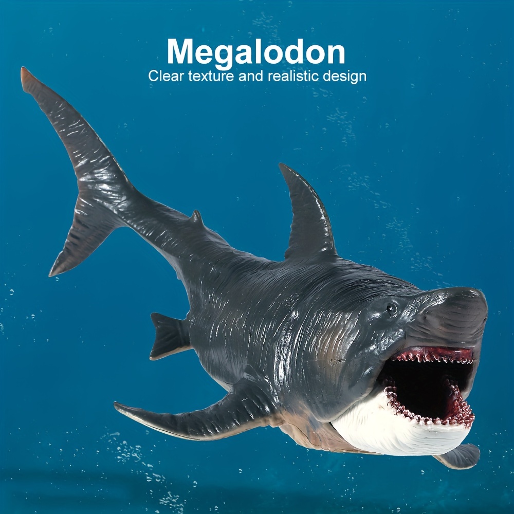 Megalodon, Giant Shark, Museum Quality Plastic Reproduction 7
