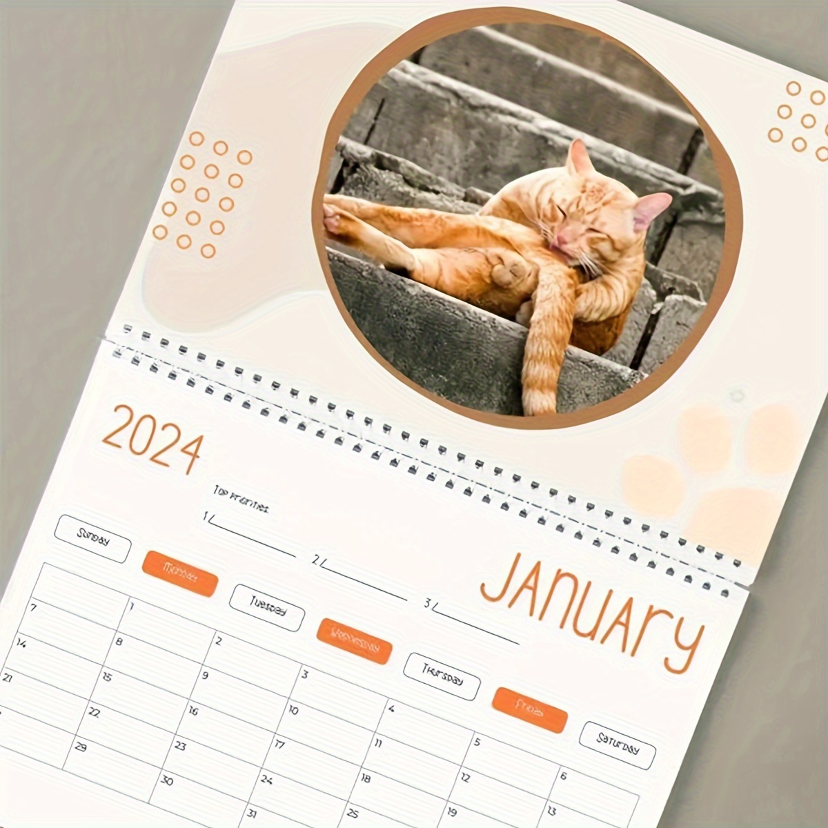 Calendario Sedere Gatto 'anno 2024 Calendario Divertente - Temu