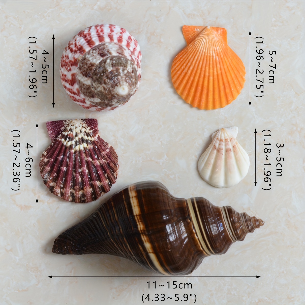 Mixed Sea Shells Natural Conch Fish Aquarium Ornament DIY Home Landscape  Decor