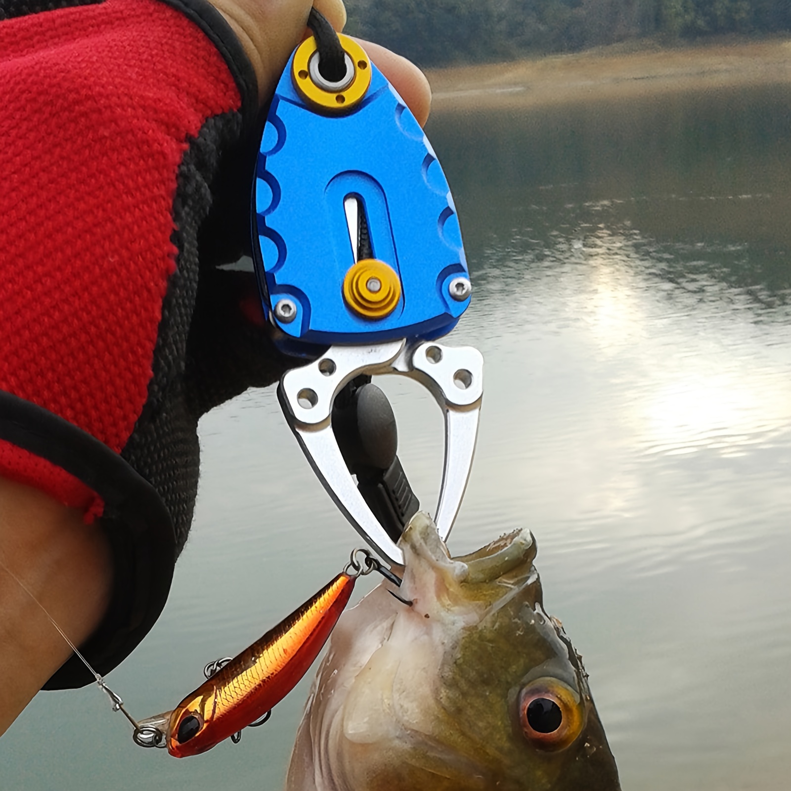 Mini Portable Fish Lip Clip Aluminum Fish Controller Fishing - Temu