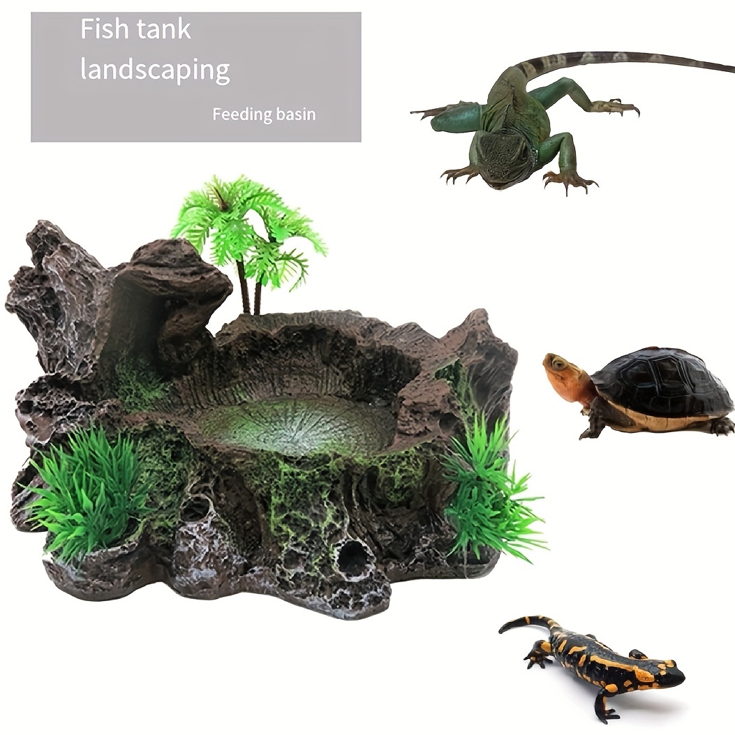 3 Pièces Plat De Nourriture Pour Tortue Avec Rampe Et Plate-Forme De Se  Prélasser Feuille Tortue Bols De Nourriture D'eau Plat D'eau De Reptile  Piscine De Reptile De Tortue Pour Amphibiens Marron 