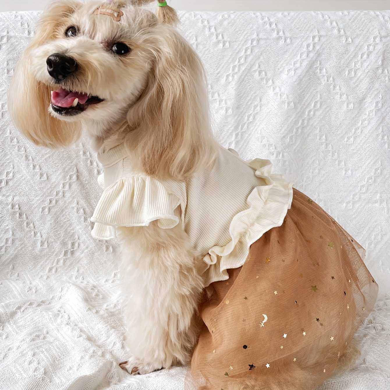 slim fit dress slacks Holiday Dog Harness Dress main image 1